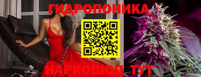 спайс Можга