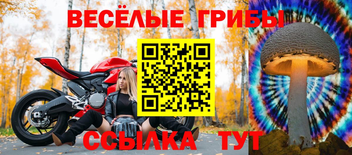 Галлюциногенные грибы ЛСД Заринск